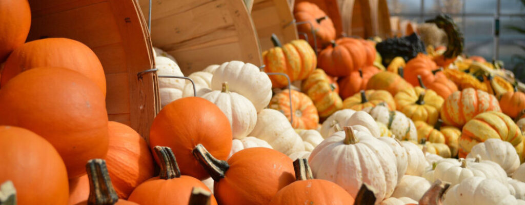 Halloween in the Park<br>& Fun Fest