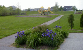 Our Parks